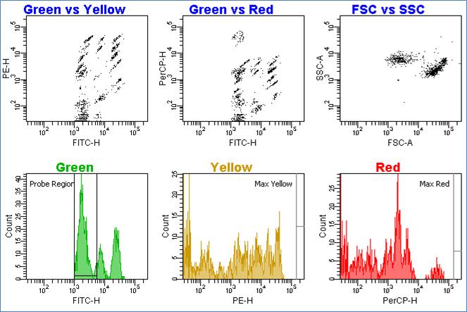 28. Observe the new data collected on the parameter voltages you have adjusted. Repeat any necessary changes until all 3 fluorescent parameters and the 2 nonfluorescent parameters (i.e. FSC and SSC ) are on scale (i.