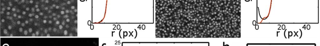 µm diameter PMMA mirospheres; (b) the D pair orrelation funtion g(r).