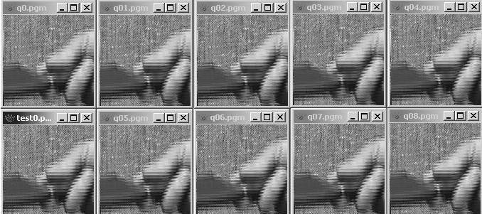 5. Experiment Results Figure 5. FGS effect on the 128x128, 8-bit grayscale picture In the figure, q0.pgm is the base plane, test0.pgm is the original picture. Pictures with name of q0x.
