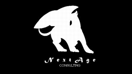 System Log NextAge Consulting Pete Halsted 110 East Center St.