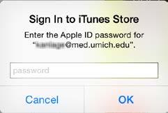 password and tap OK to authorize the