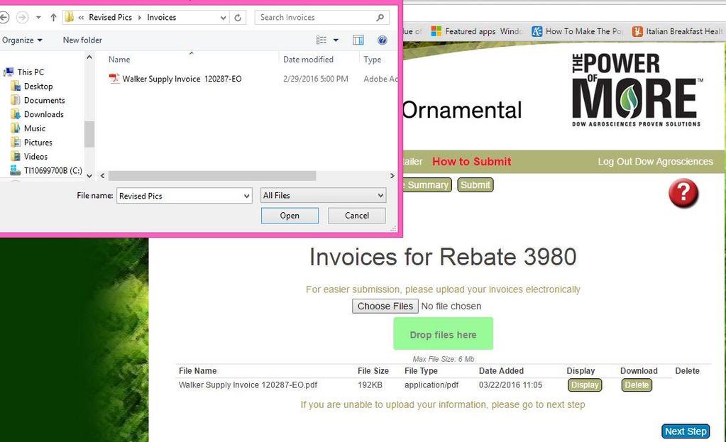 Uploading Invoice Files You can upload your supporting documentation two ways. Browse: Click on Choose Files to search for where you have your documentation saved on your computer.