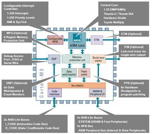 Embedded ARM Cortex Processors 43 Cortex M3: The mainstream ARM processor
