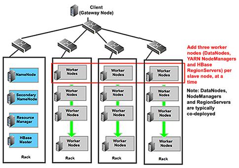 3. Typical Hadoop Cluster A typical Hadoop cluster is comprised of masters, slaves and clients.