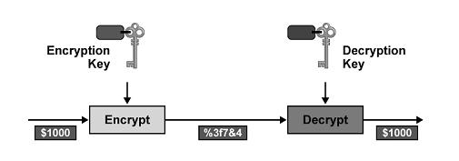 text by the decryption key. The network data encryption technique is one of the most effective method to guard the network security. Fig.3 Network Anti-virus Technique.