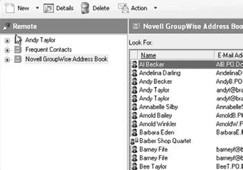 To access the GroupWise Address Book, select Address Book from the Toolbar. Your main Address Book will open in the Address Book window.