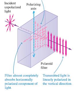 Polarizatio of light waves; filters; Malus s law (1809) I = I cos 2 φ max