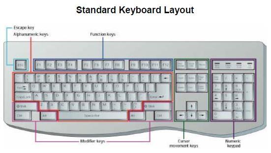 Often keyboard, pointing, and source data input devices are combined in a single computer system. 1) Keyboard Input A standard computer keyboard has about 100 keys.
