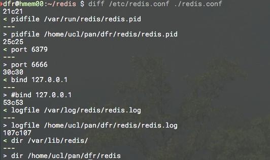 Example: run a redis server Create a redis directory Copy