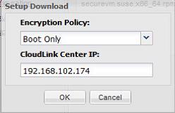 In this example, only the boot partition will be encrypted for instances on which the software in this download is deployed.