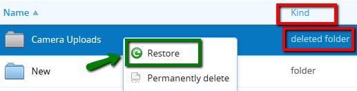 If you accidentally delete or upload a wrong version you can restore your file.