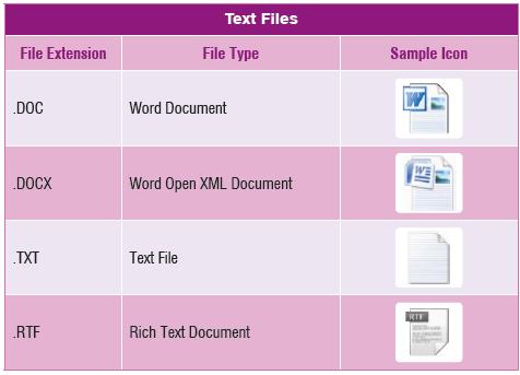 10 Classes 2 nd Exam Review Basics of Files and Folders A file is a collection of