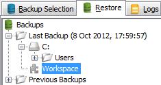3. In the right-hand pane, click the icon next to the name of the backup set to include it for restore.