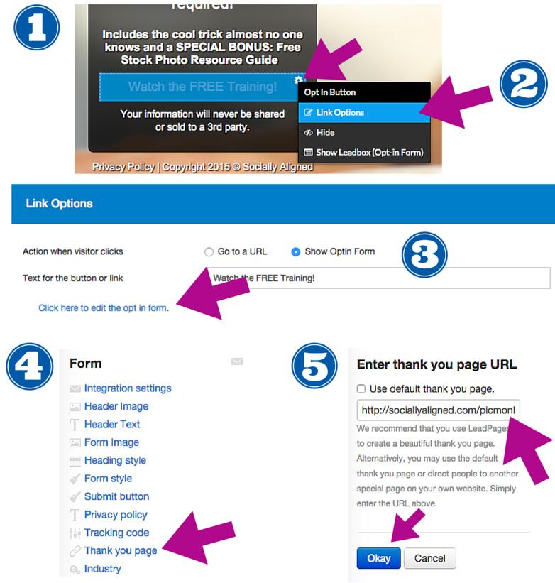 1. On the LeadPages sign up page, click the gear icon on the button that someone clicks in order to give you their email address. 2. Click on Link Options from that menu.