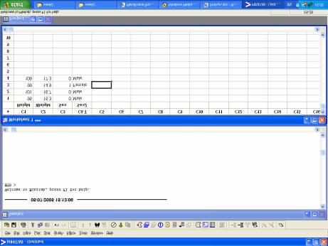 Numeric and Text columns in Minitab One criticism of the final screen is that you may forget whether 0 indicated a boy or a girl.