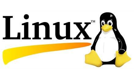 hardware support rapidly ramps adoption 1993 More than 100 developers contribute code to Linux 1991 The Linux kernel is developed to acces large UNIX servers independent of an operating system 2013