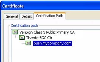 In this example, the certificate provided by the CA is called push.mycompany.com.crt, which contains the following certification chain: Thawte SGC CA and VeriSign Class 3 Public Primary CA.