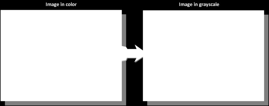 Figure 25: conversion of the image from colour to gray scale. Figure 26 shows the change of the image in gray scale when an adjustment of the brightness and contrast is made.
