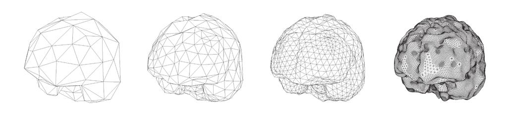 Figure 11: Adaptive reconstruction of the brain surface from a segmented MRI data set. name volume hierarchy triangles triangles hierarchy triangles approx.