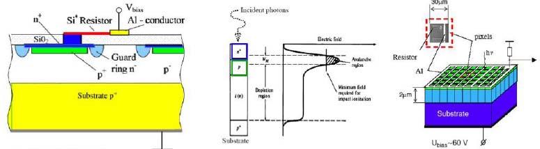 Silicon PM s = Pixellated avalanche diodes; run in Geiger mode (very high gain) Small dimensions ~