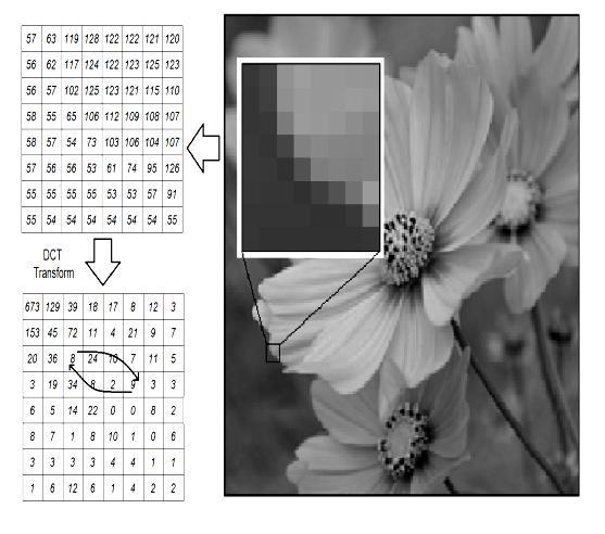 difference is in manipulation of coefficients. First step is to divide the cover image in to the 8*8 bocks, and then each block is transformed to the discrete cosine transformation domain.