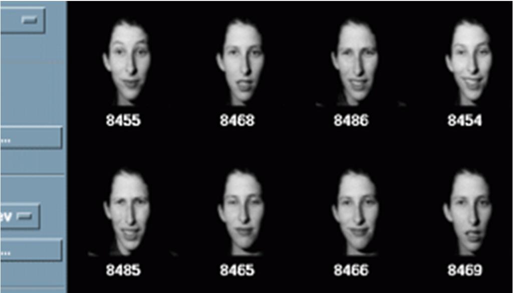 Face Image Retrieval Left-top image is the query image Return 15 nearest neighbor in the