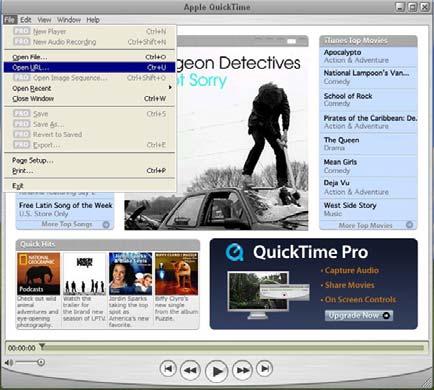 REMOTE OPERATION 8.3 QuickTime Player You can also use the QuickTime player to remotely log into the DVR and check the live view only. Note: QuickTime is Apple s multimedia software.