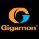 barriers and achieve the provisioning speed, operational efficiency, and management visibility and insight promised by network virtualization Network Operations Gigamon and VMware are