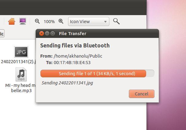 29 Picture 5. Screen shot showing Bluetooth file transfer.