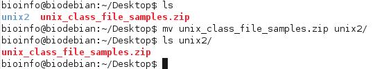 Linux Commands mv move