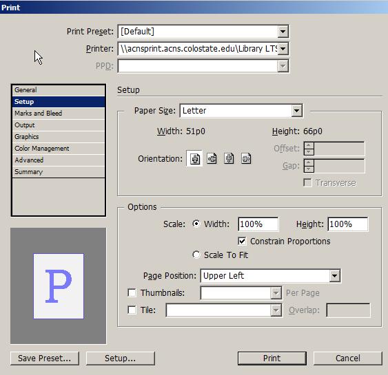 Setup Pane: The Page Preview display shows the paper in the printer (white color)