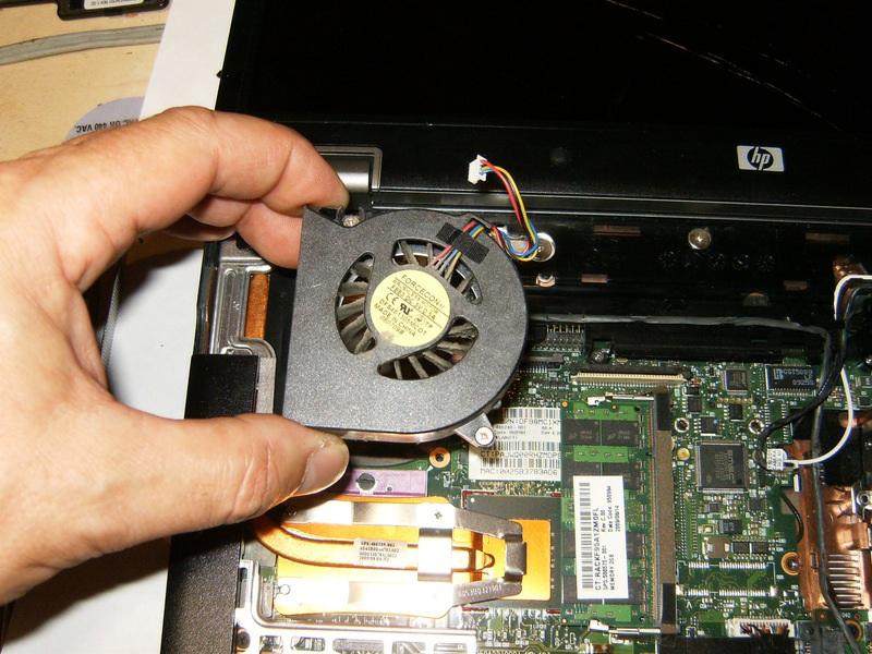 Remove the fan from the case.