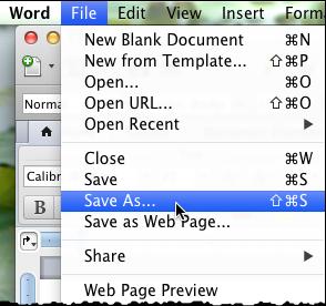 13. Appendix A: Saving a Word document as a PDF In order to create a PDF form from a Word document, you must first save the Word document as a PDF.