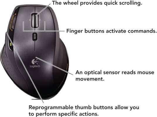 Input Devices: Giving Commands Pointing device o Controls an on-screen pointer s movements Pointer o On-screen symbol