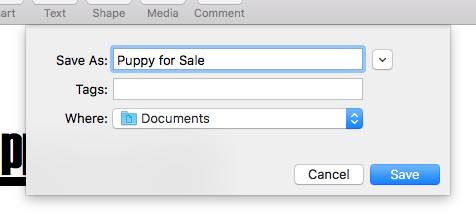 A window will appear so you can name your file and give it a folder destination. This will save the document as a Pages file.