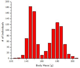 Bimodal Distribution There are two peaks/humps or highest points in the distribution. Often implies two populations are sampled. The graph below shows a bimodal distribution for body mass.