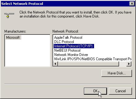 Click Internet Protocol (TCP/IP) and then