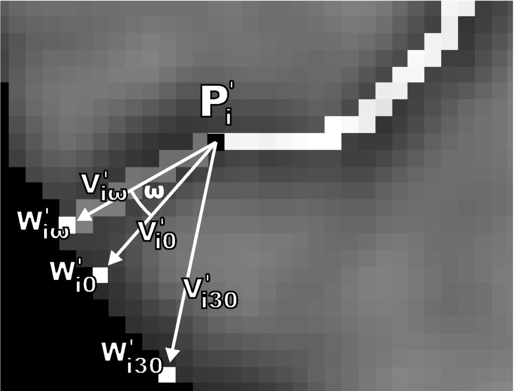 The wallpoint candidate with the lowest average intensity along the line segment connecting to P i is then finally chosen. v i,0 is processed in an identical fashion.