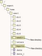 Creating Files and Directories Creating Files and Directories $ mkdir newdir $ mkdir Reports $ mkdir DIR1 $ mkdir DIR/DIR2 DIR1 $ pwd 135 136 Removing Files and Directories From the directory