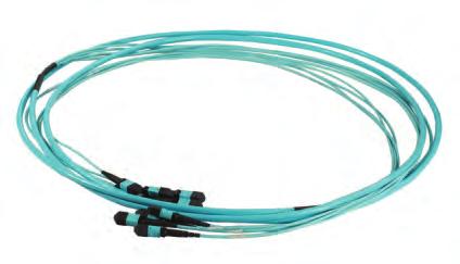 Microdistribution Loose Tube Cable, Premium Low-Loss MTP(F) to MTP(F) Riser 12 Strand OM4 550 meters