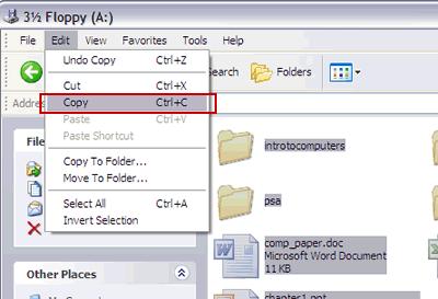 In the My Computer Window, double-click to open the floppy disk drive. 4. In the floppy disk drive window, go to Edit > Select All (Figure 5).
