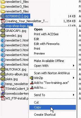 To copy the graphic files to the upload directory, open the newsletter folder and highlight the two files as shown in Figure 19.