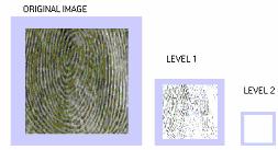 1, that the packet wavelet representation perform well for Barbara and Fingerprint images compared to pyramidal wavelets.