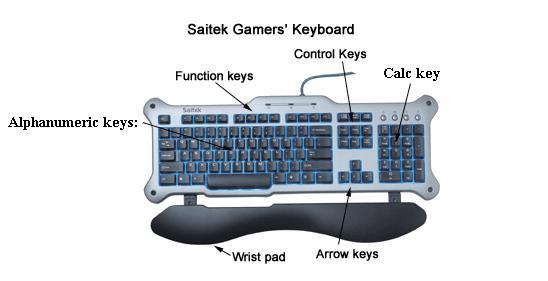 Input Devices Keyboard Mouse Digital Camera Scanner Microphone Keyboard: Enhanced keyboard with 101 key: One of the main input devices used on a computer, a PC's keyboard looks very similar to the