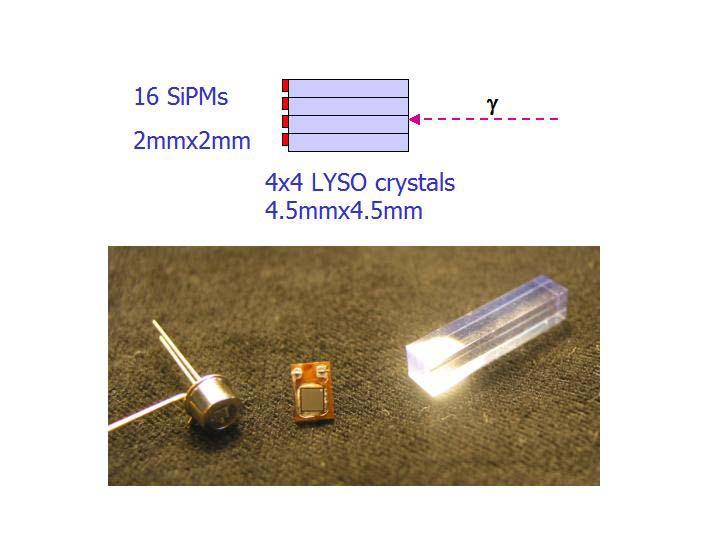 We also work on a PET module... Test a PET module with: 4x4 array of LYSO crystals (4.5 x 4.