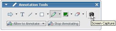 Taking a screen capture of annotations on shared software If you make annotations on shared software, you can save an image of the shared software, including all annotations and pointers, to a WebEx