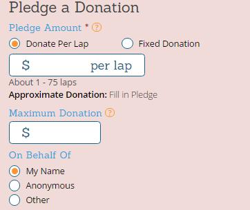 the pledge prcess will wrk fr pledgers: On each fundraising page that has pledges enabled, there will be a small header that says Dnatin Pledges and prmpts the pledger t click the link: On the pledge