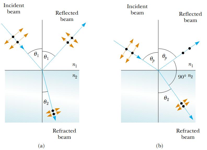 Polarization of Light Waves (a) When unpolarized light is incident on a reflecting surface, the reflected and refracted beams are partially polarized.