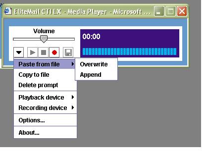5. Click on the down arrow and choose Paste from file. You can either overwrite the existing recording completely or append the.wav file to the end of the existing recording. Figure 29.
