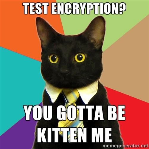 Secure Communication: testing Encryption works, but